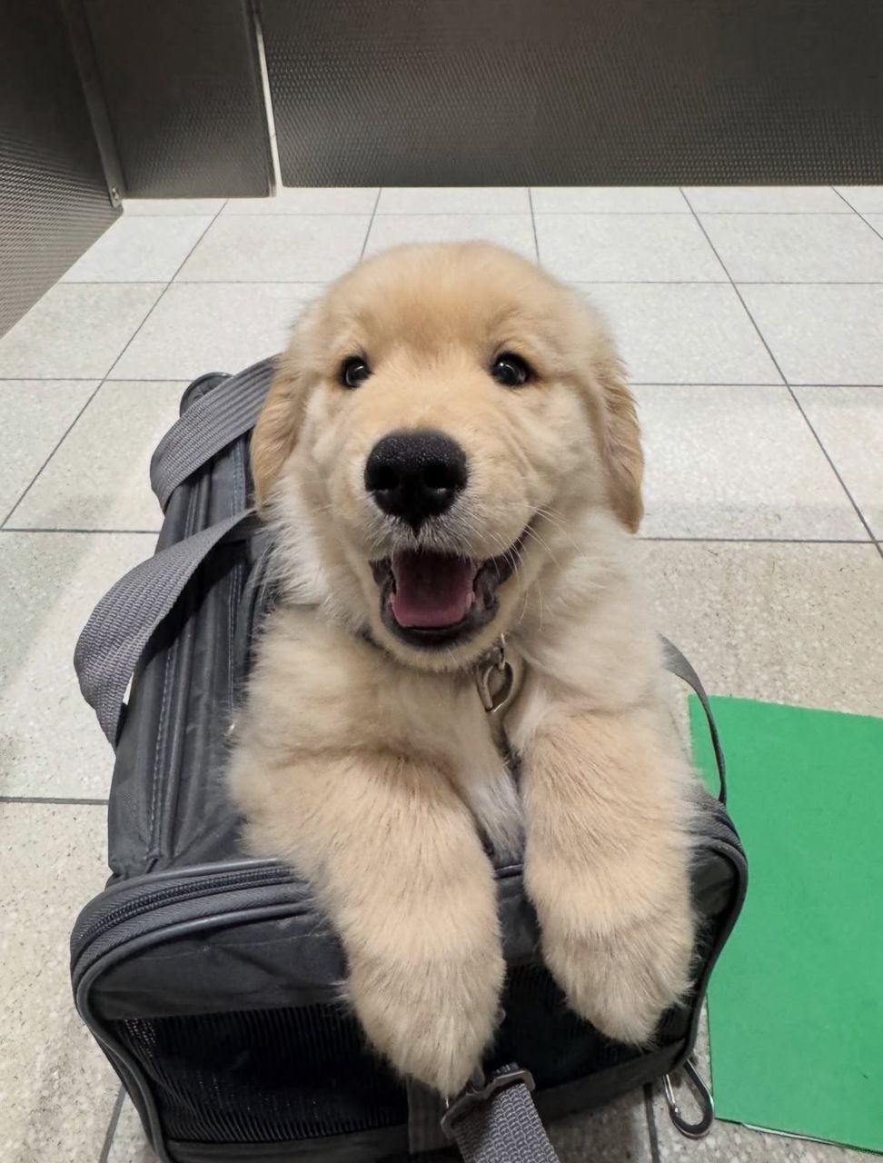 Package
